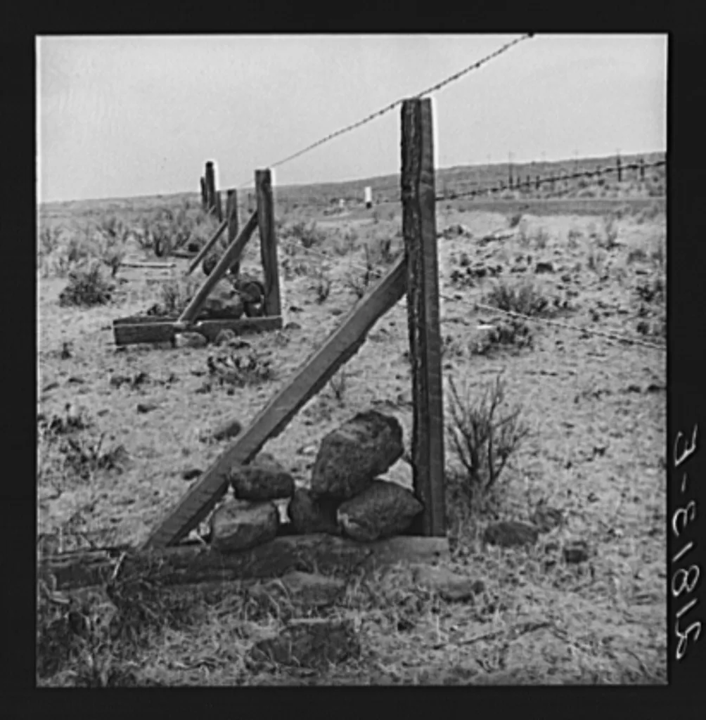 "Rockjack" fence, type familiar in this region. Wasco County, Oregon, 1939